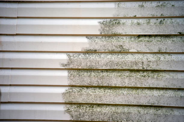 Best Storm Damage Siding Repair  in West Canton, NC